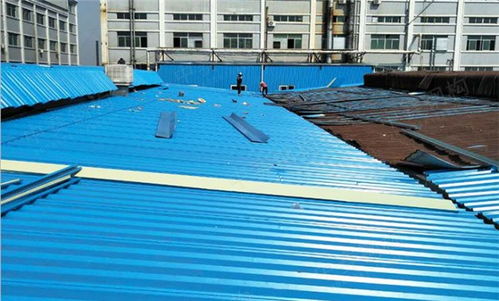 精品黄色资源视频97 彩钢水漆品牌排行榜 - 彩钢瓦翻新施工进入误区出现品质问题