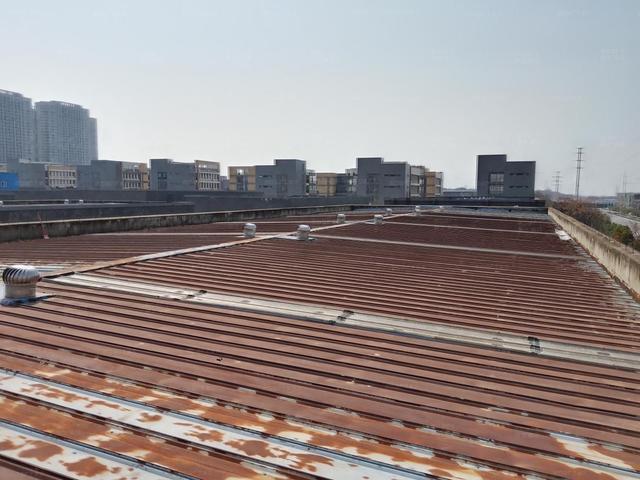 精品免费一区二区在线 彩钢瓦翻新专用防锈漆应该如何选择购买?