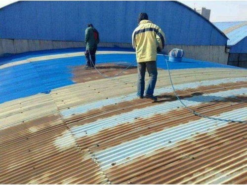 精品黄色资源视频97 彩钢顶喷漆连工带料多少钱一平方？